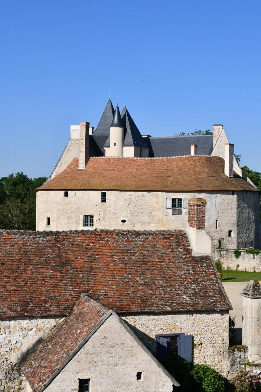 Chateau De Meauce, Gite Du Vigneron Saincaize-Meauce Exterior foto